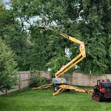 Best Pest Control for Lawns  in South Fulton, TN