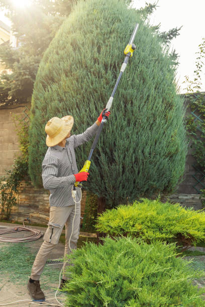 Best Lawn Grading and Leveling  in South Fulton, TN