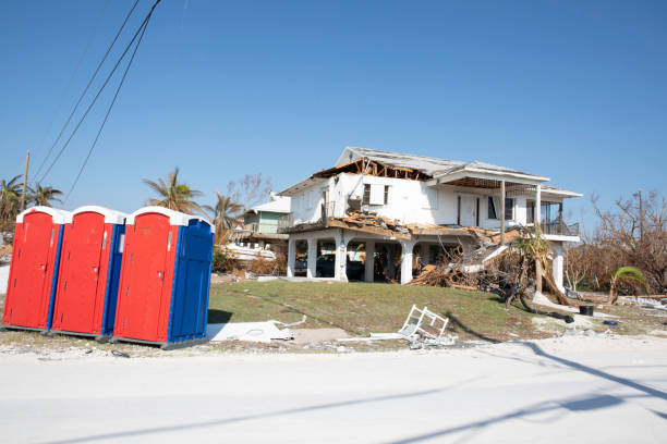 Best Tree Removal  in South Fulton, TN